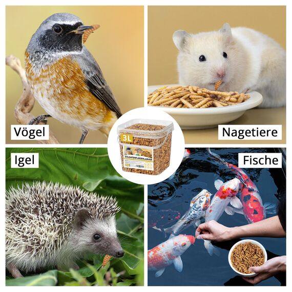 EWL Naturprodukte Soldatenfliegenlarven getrocknet 3 L (460 g), Premium Insektensnack Vögel, Fische, Schildkröten, Nager, Reptilien, Vogelfutter, Wildvögel, Ganzjährig Eichhörnchenfutter, Igelfutter