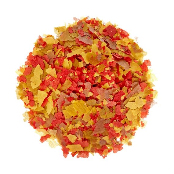 Dehner Aqua Zierfischfutter Flocken-Mix, 170 g