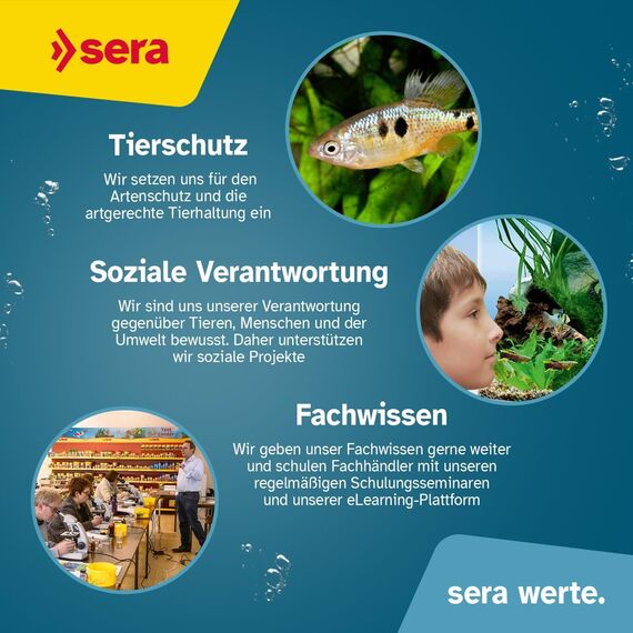 sera Vipagran Granules 1.000 ml (370 g)| Fischfutter Aquarium für mittlere Wasserzone | Softgranulat Hauptfutter | Aquarium Futter mit natürlichen Inhaltsstoffen | Fischfutter für gesundes Wachstum