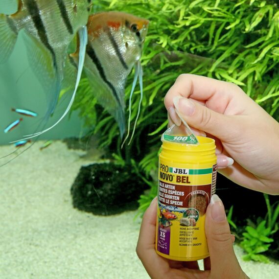 JBL PRONOVO BEL GRANO, Hauptfutter für alle Aquarienfische von 3-5 cm, Fischfutter-Granulat, Klickdosierer, Größe XS, 100 ml