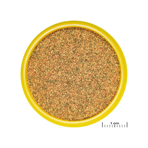 JBL PRONOVO BEL GRANO, Hauptfutter für alle Aquarienfische von 1-3 cm, Fischfutter-Granulat, Klickdosierer, Größe XXS, 100 ml