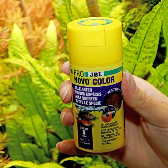 JBL PRONOVO COLOR GRANO CLICK, Farbfutter-Granulat für alle Aquarienfische von 3-10 cm, Klickdosierer, Fischfutter-Granulat, Größe S, 100 ml