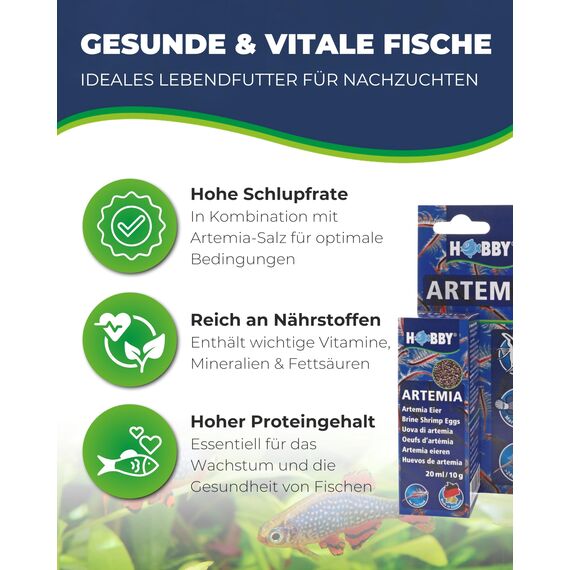 HOBBY Aquaristik Artemia Eier I 20 ml I Lebendfutter für Aquarienfische I Artemien-Eier zur Zucht von Artemia-Nauplien I Frische Artemia für nährstoffreiche und gesunde Ernährung I Artemiazysten