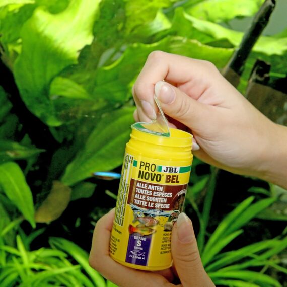 JBL PRONOVO BEL GRANO, Hauptfutter für alle Aquarienfische von 3-10 cm, Fischfutter-Granulat, Klickdosierer, Größe S, 100 ml