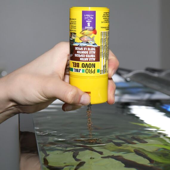 JBL PRONOVO BEL GRANO, Hauptfutter für alle Aquarienfische von 3-10 cm, Fischfutter-Granulat, Klickdosierer, Größe S, 100 ml