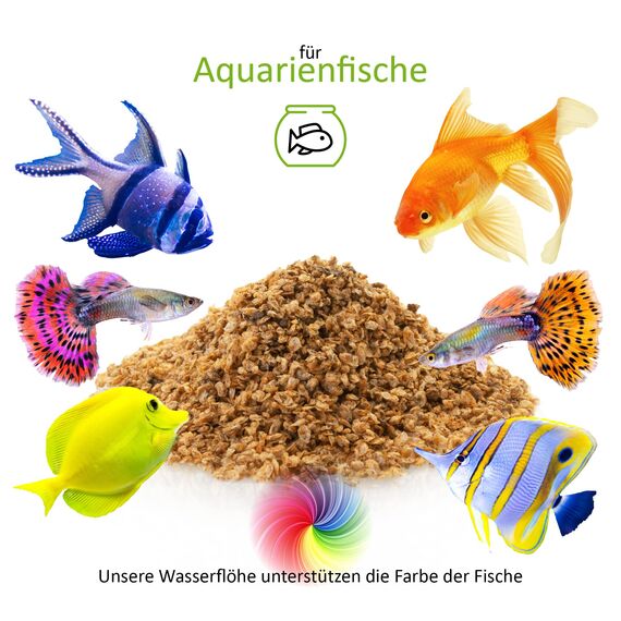 UGF - Premium Daphnia Wasserflöhe - 80g im 500 Milliliter Eimer, Getrocknet Fischfutter Aquarium, Aquarium Futter, Snacks für Zierfische