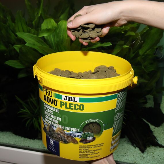 JBL PRONOVO PLECO WAFER, Futterwafer für Saugwelse von 15-40 cm, Fischfutter, Größe XL, 5,5 l