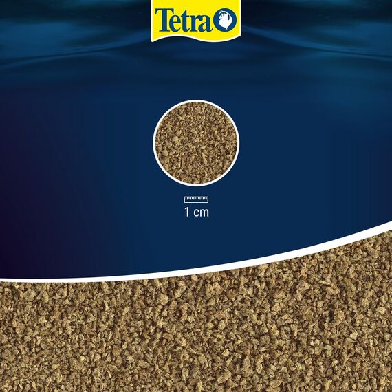 Tetra Delica Brine Shrimps Naturfutter - 100% gefriergetrocknete Salinenkrebse, natürliche Snacks für Zierfische, 100 ml Dose