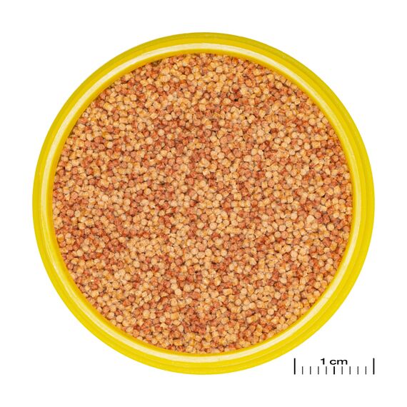 JBL PRONOVO COLOR GRANO CLICK, Farbfutter-Granulat für alle Aquarienfische von 3-10 cm, Klickdosierer, Fischfutter-Granulat, Größe S, 100 ml