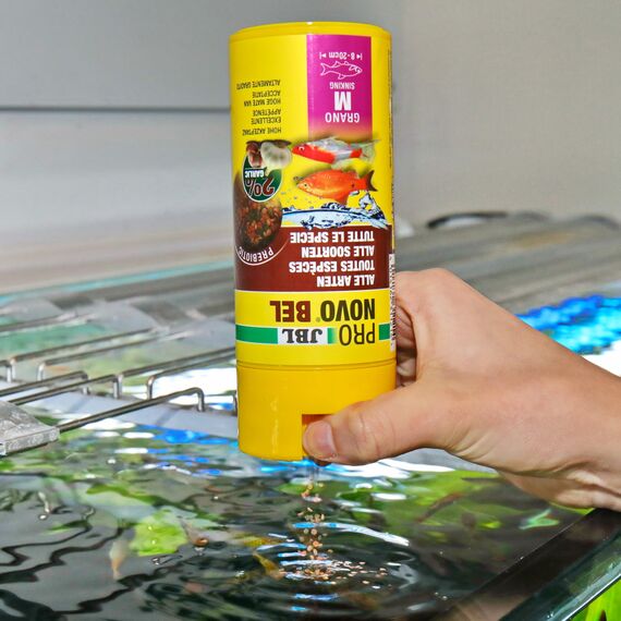 JBL PRONOVO BEL GRANO, Hauptfutter für alle Aquarienfische von 8-20 cm, Fischfutter-Granulat, Klickdosierer, Größe M, 250 ml
