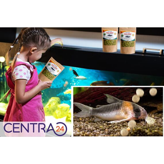 Centra24 Wels-Chips 1 Liter, Formstabile Wafer mit hohem Spirulina Anteil+Vitaminen, Futtertabletten, Welsfutter, Fischfutter, für L-Welse, Zierfische, wiederverschließbar.