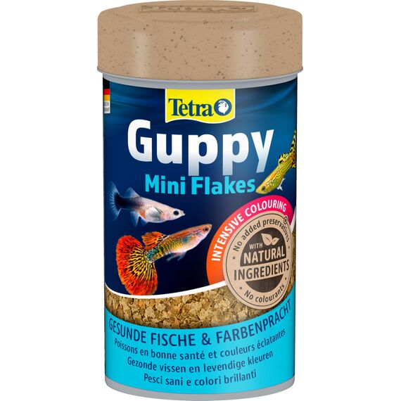 Tetra Guppy Mini Flakes - Fischfutter für alle Guppys, feines Flockenfutter für eine ausgewogene und nährstoffreiche Ernährung, 100 ml Dose (Packung mit 2)