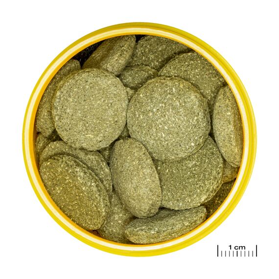 JBL PRONOVO PLECO WAFER, Fischfutter, Größe XL, 250ml