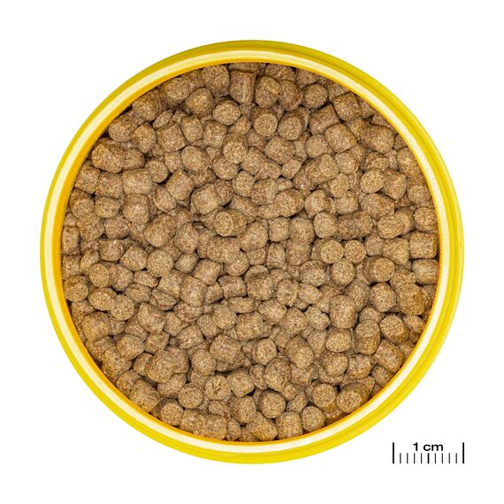 JBL PRONOVO LOTL GRANO, Hauptfutter für Axolotl von 8-20 cm, Fischfutter-Granulat, Größe M, 250 ml