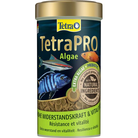 Tetra Pro Algae Multi-Crisps - Premium Fischfutter mit Algenkonzentrat für erhöhte Widerstandskraft, 250 ml Dose