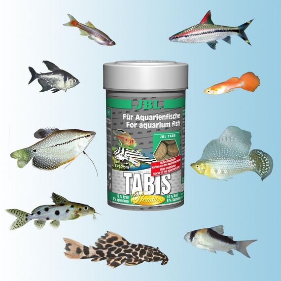 JBL Tabis 40600 Premium Alleinfutter für Saugwelse, Futtertabletten 100 ml