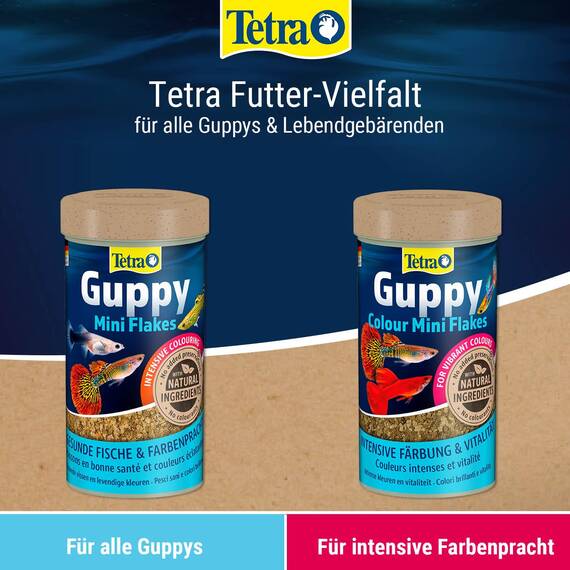 Tetra Guppy Colour Mini Flakes - Fischfutter für alle Guppys, feines Flockenfutter für kräftige Farben, 250 ml Dose