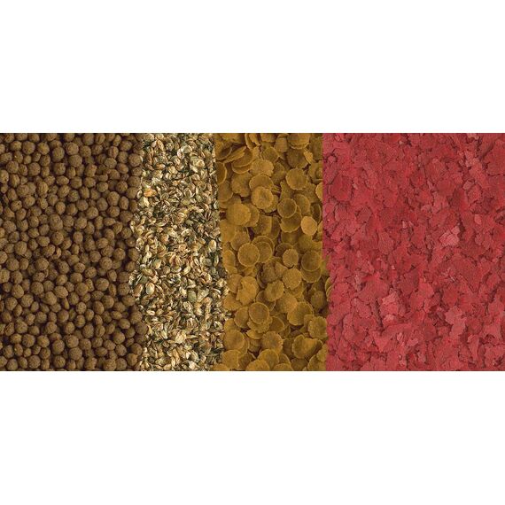 Tetra Goldfish Menu - 4in1 Fischfutter-Mix mit Crisps, Flocken, Granulat und Daphnien für alle Goldfische und andere Kaltwasserfische, 250 ml Dose (Packung mit 2)