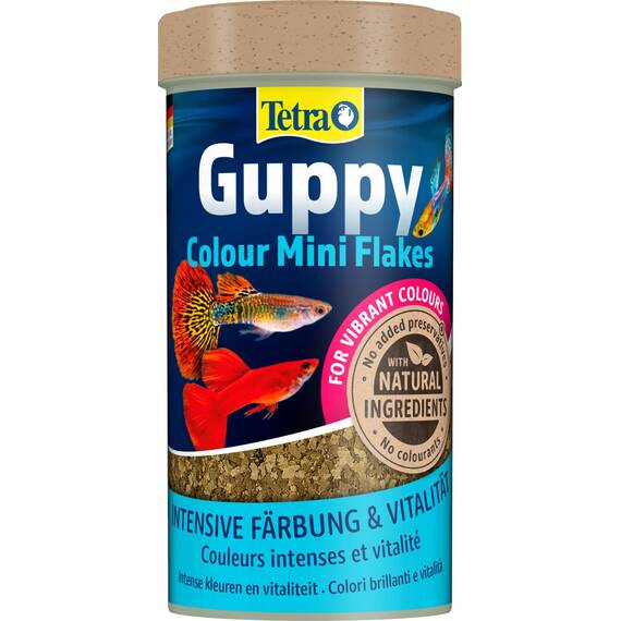 Tetra Guppy Colour Mini Flakes - Fischfutter für alle Guppys, feines Flockenfutter für kräftige Farben, 250 ml Dose