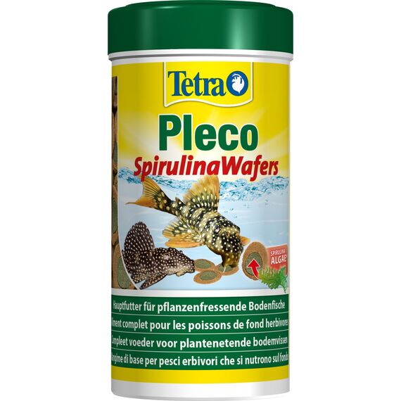 Tetra Pleco Algae Wafers - Fischfutter mit Spirulina-Algen für algenweidende Bodenfische, 250 ml Dose (Packung mit 2)
