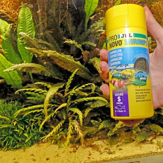 JBL PRONOVO SHRIMPS GRANO S 250ml CLICK, Grün