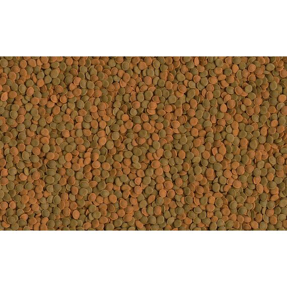 Tetra Wafer Mix - Fischfutter für alle Bodenfische (z.B. Welse) und Krebse, für gesundes Wachstum und Vitalität, 250 ml Dose (Packung mit 2)