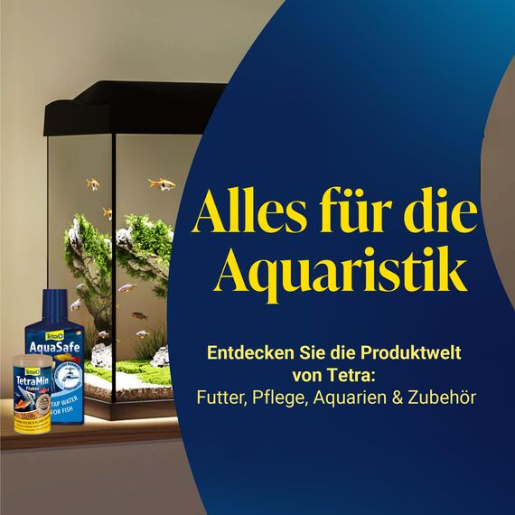 Tetra FilterActive Bacteria - 2in1 Mix aus lebenden Starterbakterien und schlammreduzierenden Reinigungsbakterien, hält den Filter biologisch aktiv und reduziert Mulm, 250 ml