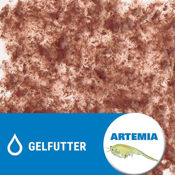 Tetra FreshDelica Brine Shrimps - natürlicher Snack mit Artemia für Zierfische, Leckerbissen in Gelee, 16 x 3 g Beutel (Packung mit 2)