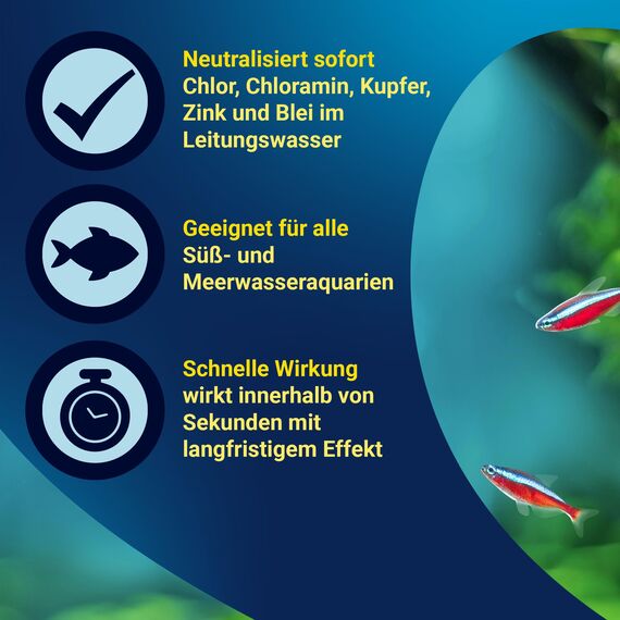 Tetra AquaSafe - Qualitäts-Wasseraufbereiter für fischgerechtes und naturnahes Aquariumwasser, neutralisiert fischschädliche Stoffe im Leitungswasser, 500 ml Flasche