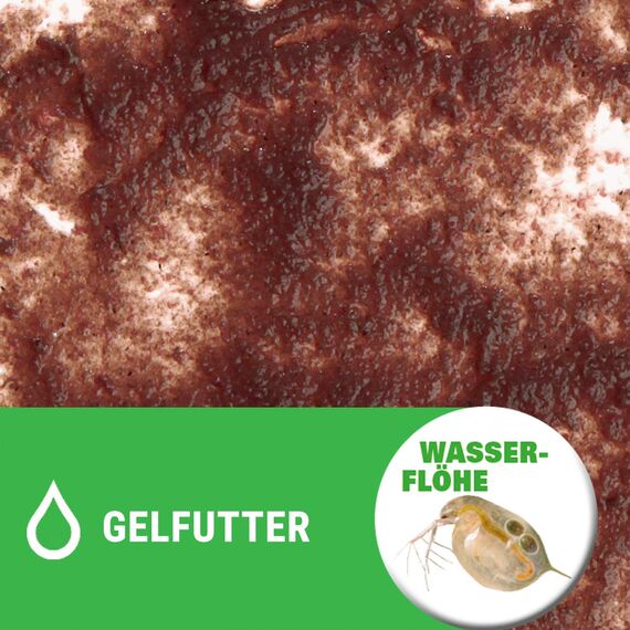 Tetra FreshDelica Daphnia - natürlicher Snack mit Wasserflöhen für Zierfische, Leckerbissen in Gelee, 16 x 3 g Beutel (Packung mit 2)