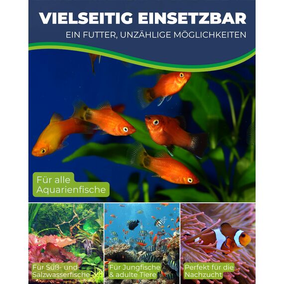 Hobby Artemia-Eier für Aquarien, 150 ml