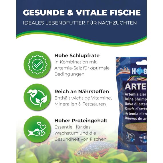 Hobby Artemia-Eier für Aquarien, 150 ml