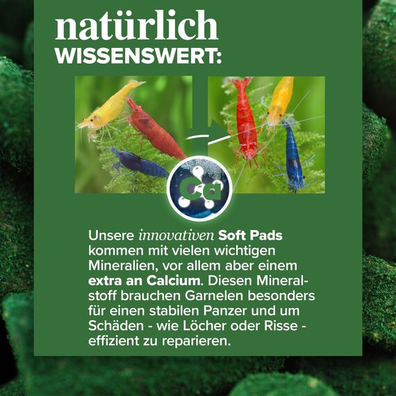NatureHolic Garnelenfutter Mainfeed - 3 für 2 Spar Set I Futter für Garnelen im Aquarium I Made in Germany I Für besseres Wachstum und Panzer Aufbau | 1 Mainfeed GRATIS geschenkt