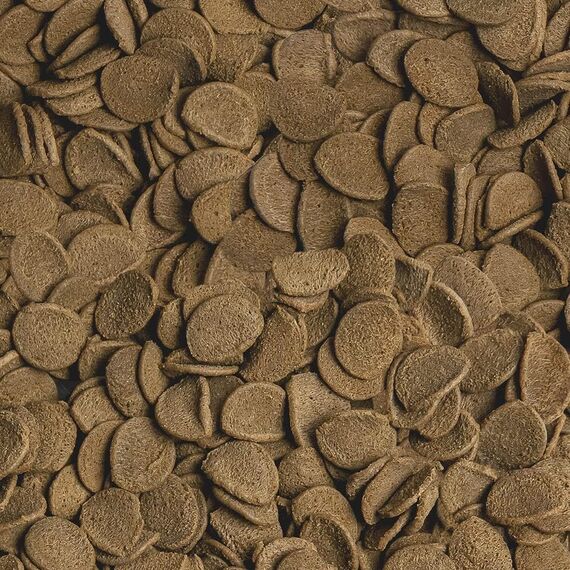 sera Vipachips Wafers 250 ml (90 g) | Fischfutter Aquarium für Bodenfische | Schnell sinkende, formstabile Chips | Aquarium Futter mit natürlichen Inhaltsstoffen | Hochwertiges Fischfutter