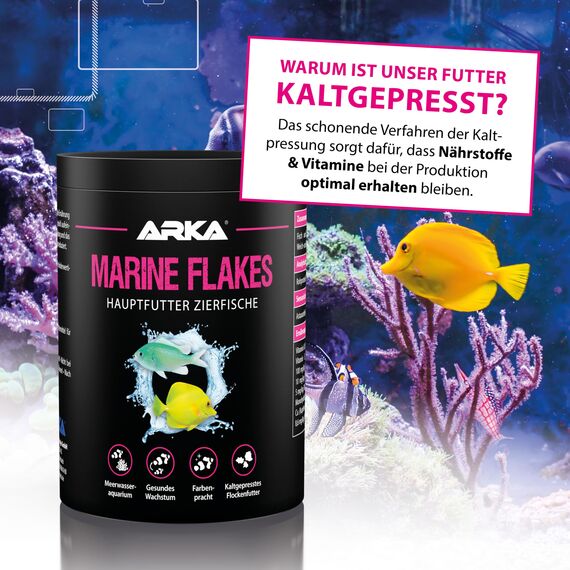 Meerwasserfische Futter 1000 ml / 100 g – kaltgepresstes Flockenfutter als Hauptfutter – für Farbenpracht, Wachstum & Fischgesundheit – ARKA Marine Flakes