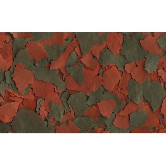 Tetra Cichlid XL Flakes - Fischfutter in Form großer Flocken für größere Cichliden und andere große Zierfische, 1 L Dose (Packung mit 2)