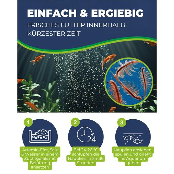 Hobby Artemia-Eier für Aquarien, 150 ml