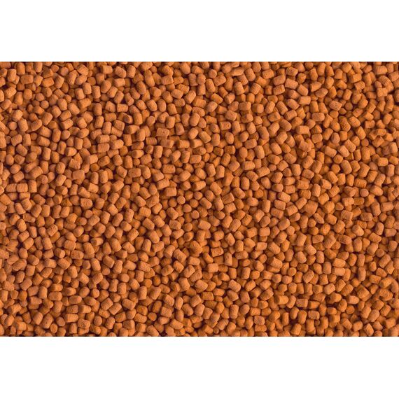 Tetra Cichlid Shrimp Sticks - ausgewogenes und vollwertiges Fischfutter für alle fleischfressenden Cichliden, mit hohem Shrimpanteil, 250 ml Dose (Packung mit 2)
