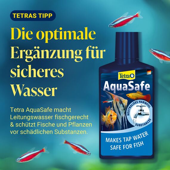 Tetra CrystalWater - Wasserklärer gegen Trübungen für kristallklares Wasser im Aquarium, bindet Schwebepartikel, 500 ml Flasche