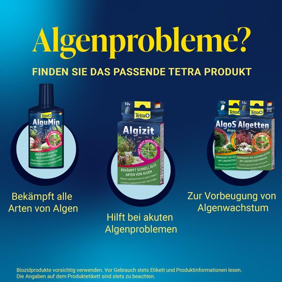Tetra AlguMin - bekämpft schnell alle Arten von Algen im Aqarium und verhindert effektiv die Neubildung, 500 ml Flasche