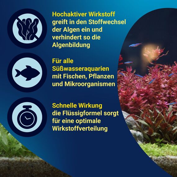Tetra AlguMin - bekämpft schnell alle Arten von Algen im Aqarium und verhindert effektiv die Neubildung, 500 ml Flasche