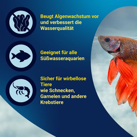 Tetra NitrateMinus - zur gezielten Senkung des Nitratgehalts und zur biozidfreien Algenkontrolle, 250 ml Flasche