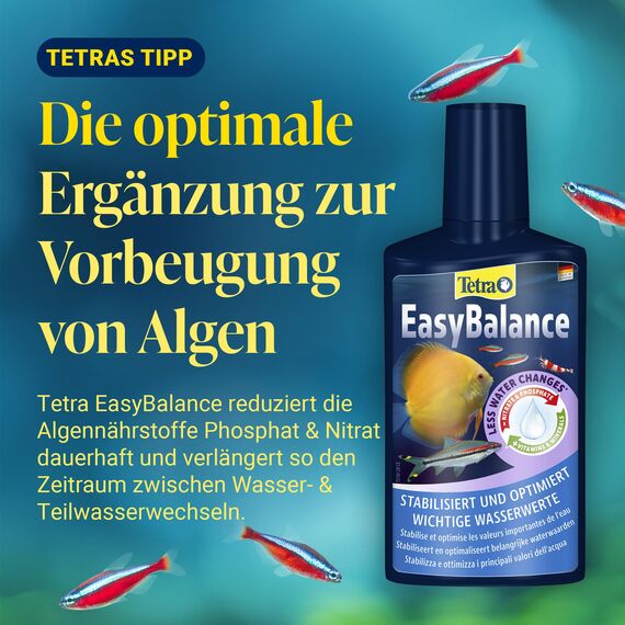 Tetra AlguMin - bekämpft schnell alle Arten von Algen im Aqarium und verhindert effektiv die Neubildung, 500 ml Flasche