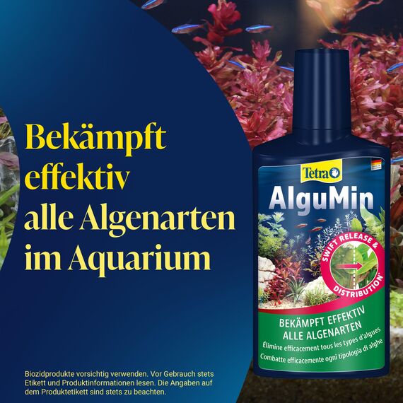 Tetra AlguMin - bekämpft schnell alle Arten von Algen im Aqarium und verhindert effektiv die Neubildung, 500 ml Flasche