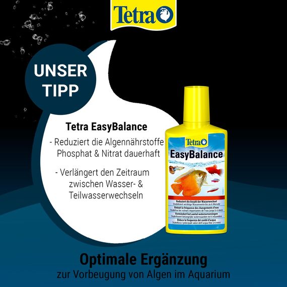 Tetra AlguMin - bekämpft schnell alle Arten von Algen im Aqarium und verhindert effektiv die Neubildung, 250 ml Flasche