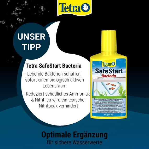 Tetra FilterActive Bacteria - 2in1 Mix aus lebenden Starterbakterien und schlammreduzierenden Reinigungsbakterien, hält den Filter biologisch aktiv und reduziert Mulm, 100 ml