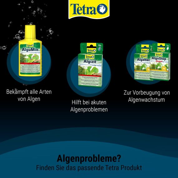Tetra AlguMin - bekämpft schnell alle Arten von Algen im Aqarium und verhindert effektiv die Neubildung, 250 ml Flasche