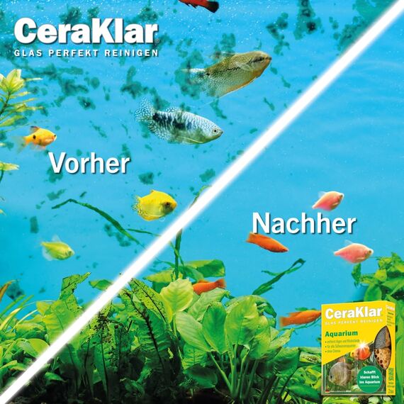 abrazo CeraKlar Aquarium Scheibenreiniger - 2 Scheibenreiniger Aquarium Glasreiniger, kratzfreier Algenentferner für Süßwasseraquarien und Terrarien