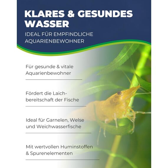 HOBBY Aquaristik Alder Cones I 50 Stück I Schwarzerlenzapfen für Aquarien I Erlenzapfen zur Senkung und Stabilisierung des pH-Wertes I Schutz vor Bakterien und Pilzen I ideal für Süßwasseraquarien