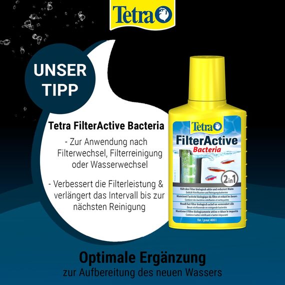 Tetra AquaSafe - Qualitäts-Wasseraufbereiter für fischgerechtes und naturnahes Aquariumwasser, neutralisiert fischschädliche Stoffe im Leitungswasser, 100 ml Flasche